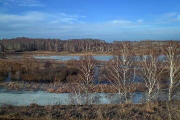 the bank of a small river in early spring