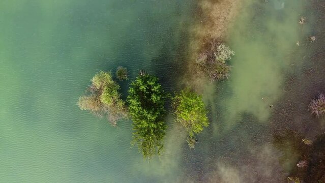 &Icirc;lot submerg&eacute; contenant divers arbres au beau milieu d'un lac bleu. Petite archipel naturelle dans l'eau.
