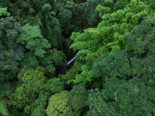 Naklejka premium Aerial view of beautiful tropical forest mountain landscape