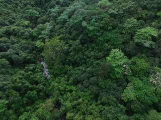 Naklejka premium Aerial view of beautiful tropical forest mountain landscape