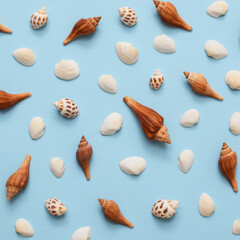 Summer minimalist pattern on a blue background with white and brown sea shells - ideal for elegant branding identities - flat lay. Tropical vacation concept.