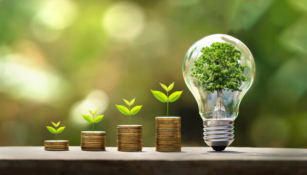 tree growing on coins and light bulb. concept saving money with energy