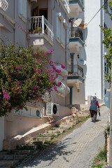 Fototapeta na wymiar Typical street in the city center of Kas, Turkey. White buildings and flowering trees.