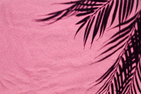 Pink sand texture. Sandy beach with palm shadow for product background. Top view