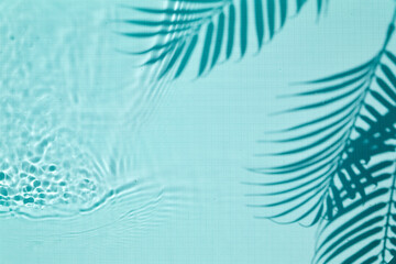 Shadow of a palm tree on a Blue water background