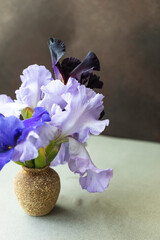 lilac irises in a vase on the table © Katya