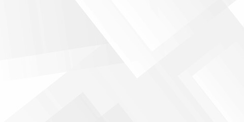 abstract white and gray background with lines white light & grey background. Space design concept. 