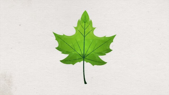 Abstract Leaf Icon Paint Ink Drawing Reveal Animation/ 4k animation of an abstract ink painted leaf icon revealing animation background