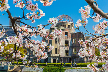 満開の桜と原爆ドーム(広島県広島市)
