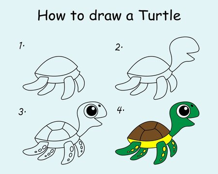 Step by step to draw a Turtle. Drawing tutorial a Turtle. Drawing lesson for children. Vector illustration