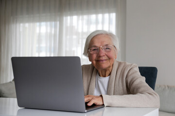 Fototapeta premium Portrait of elderly woman figuring out how to use a laptop. Older adult female learning about internet. Senior education. Digital health technology concept. Close up, copy space, background.