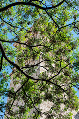 Bell Tower of the Church of Sant Marti in Valencia, Spain 