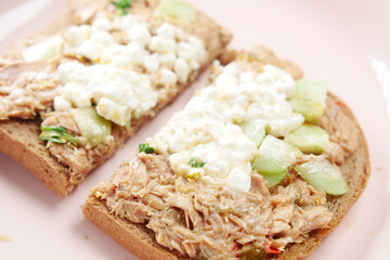 Tuna sandwich on a plate close up 