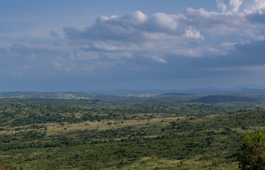 Fototapeta premium Naturreservat Hluhluwe Imfolozi Park Südafrika