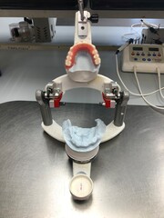 Wax Denture mounted in the articulator.