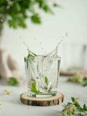Splash of water with ice. Summer cold drink in the glass on the wooden coaster. Ice cubes with mint leaves. Green branches on the foreground and background. Refreshing cold water scattering drops