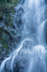 Fototapeta na wymiar The mysterious Kuya Falls at the foot of Mt. Atago in Kyoto 