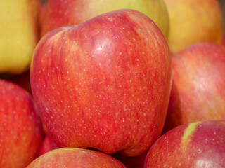 Heap of Indian apples ready to be sell in apple fruit market.