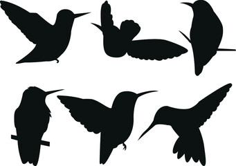silhouettes of birds