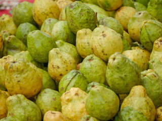 Pile of fresh Guava fruits. Fresh guavas fruit after harvesting.