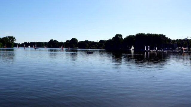 Sailboats on the Aasee in Munster, Germany