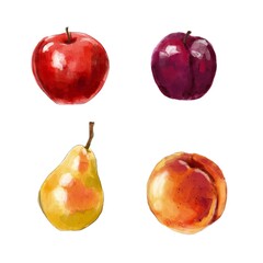 Apple, pear, peach and plum digital watercolors