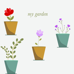 Pots with flowers and leaves. Flat vector illustration.Isolated on gray background.House plants set. Trendy home decor with plants.