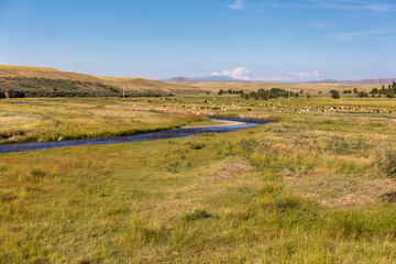 Fototapeta premium landscape with a river
