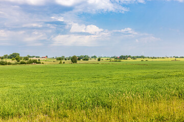 Rural landscape view at a plain with green fields