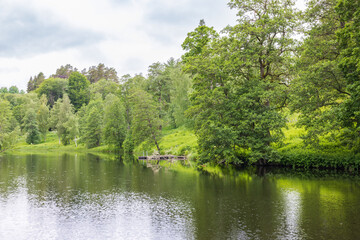 Lakeshore with lush deciduous forest in the summer