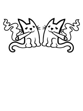 Team 2 kiffende Katzen 