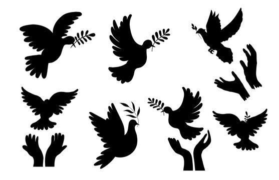  Release flying pigeon branch dove of peace silhouettes premium vector 