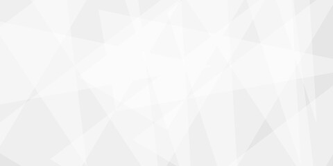 Abstract background with gray background with texture, white abstract modern background. Geometry shine and layer element vector for presentation design. Decorative web layout or poster, banner.design