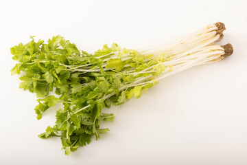 ホワイトセロリ