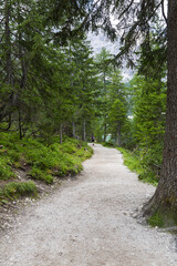 Lago di Braies, beautiful lake in the Dolomites