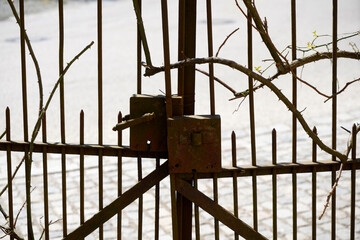 Fence handcrafted photographed outdoors in the best of daylight