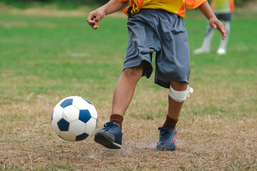 Football soccer children training class. Kindergarten school kids playing football in a field. Group of boys running and kicking soccer on sports grass pitch. Children in sportswear on football match.