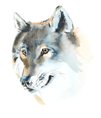 Wolf. Watercolor hand drawn illustration. Russian Forest. Sketch Style