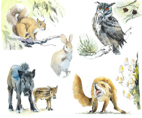 Owl, fox, boars, squirrel, hare. Wild animals of the forests. Watercolor hand drawn illustration. Sketch style