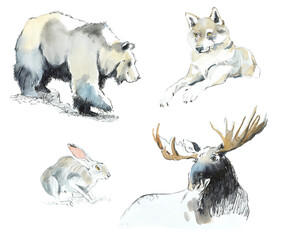 Bear, wolf, elk, hare. Wild animals of the forests. Watercolor hand drawn illustration. Sketch style