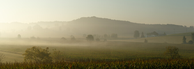 Rolling farmland in the golden morning fog | Amish country, Ohio
