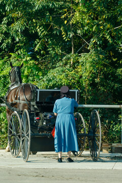 Amish woman putting her groceries into her buggy | Holmes County, Ohio