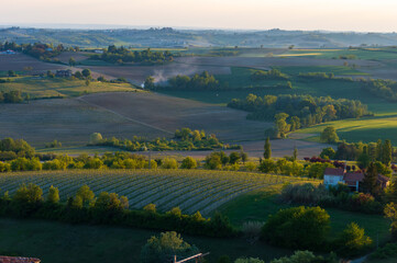 Landscape of the hills of Monferrato in Piedmont in Northern Italy at sunset time golden hour