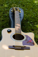 Obraz premium guitar in summer in nature