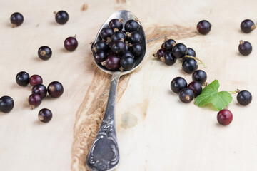 black currant berries on a spoon