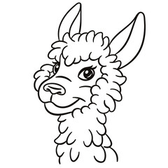 Llama alpaca cartoon illustration. Cute baby animal print for t-shirts, mugs, totes, stickers, nursery wall arts, greeting cards, etc. 