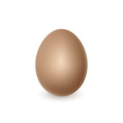 Realistic egg on white background, vector illustration