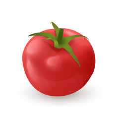 3d fresh red tomato isolated on white background. Vector illustration in realistic style. Tomato icon