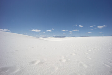 white sands