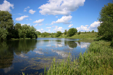 European landscape. The bank of the river with a calm current is covered with dense green grass.